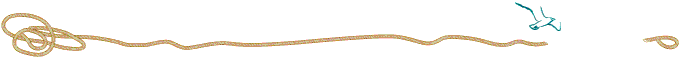 Impressum / Datenschutz